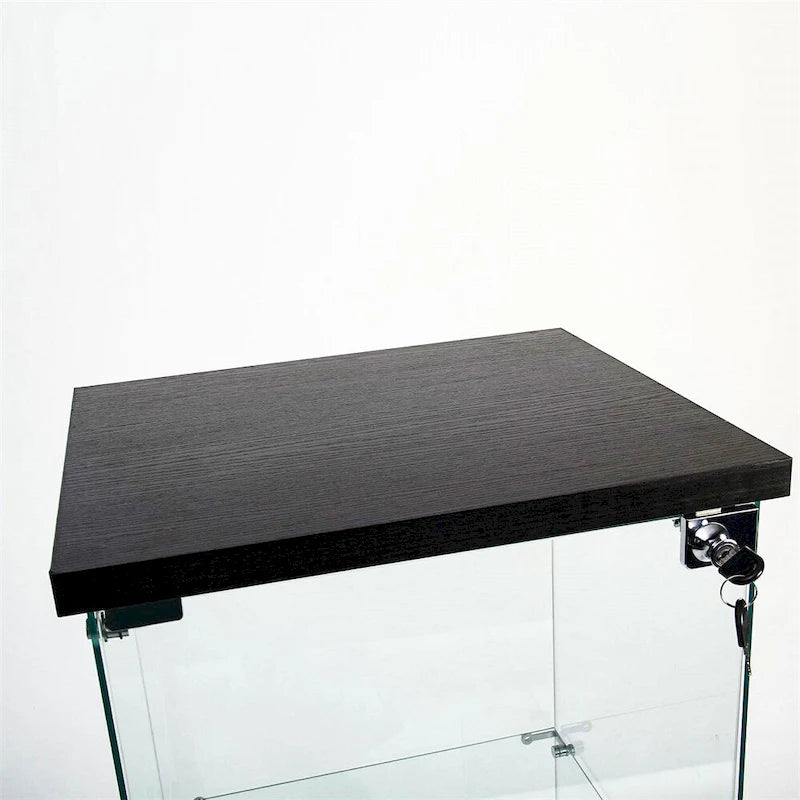 Vitrine en verre trempé, Meuble de rangement, Classeur, avec LED